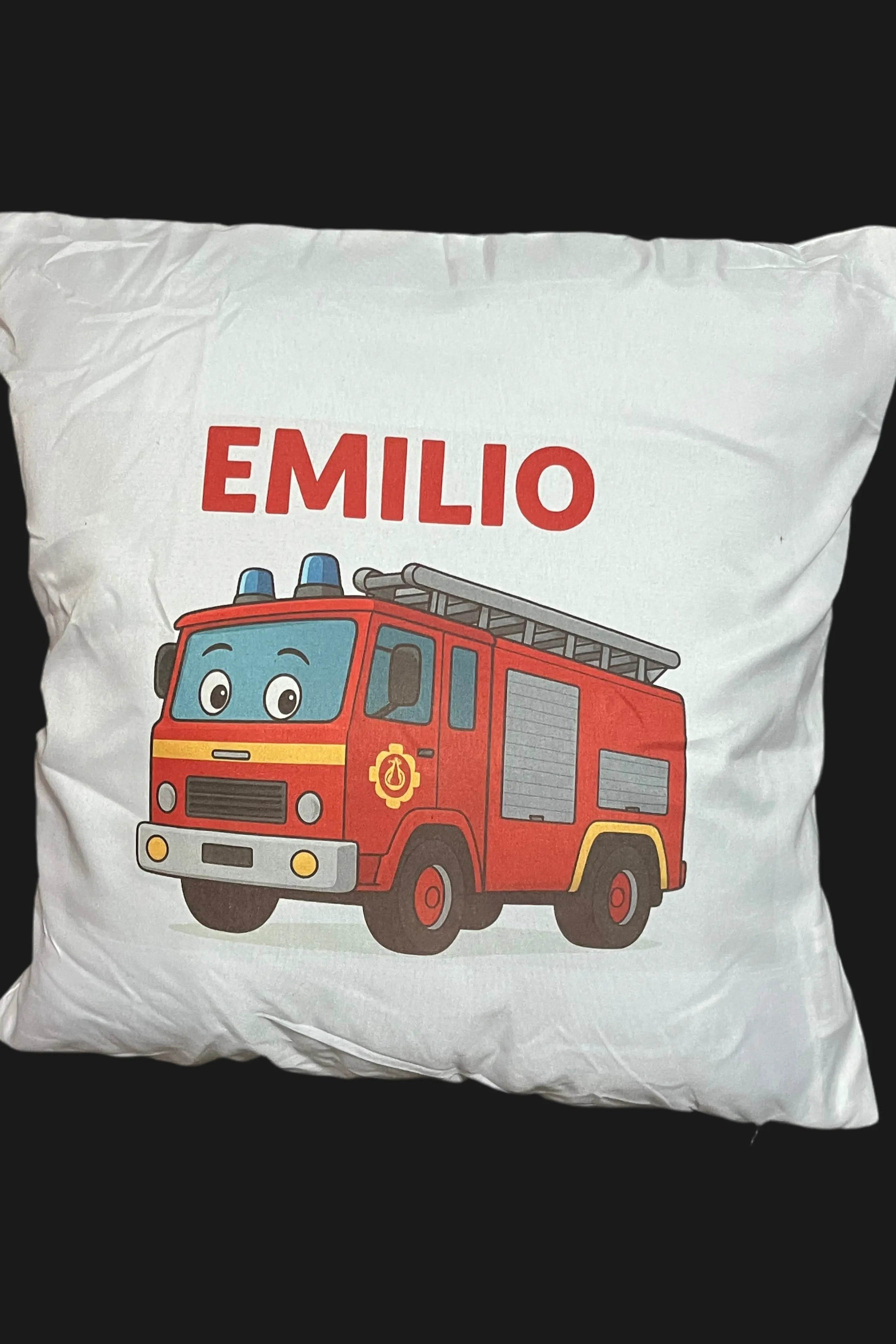 Housse de coussin L'atelier démile